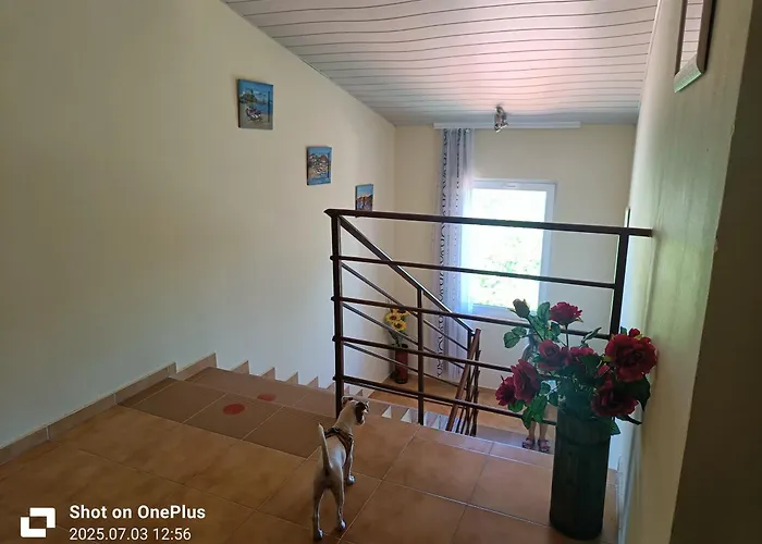 招待所 фернандес 3*