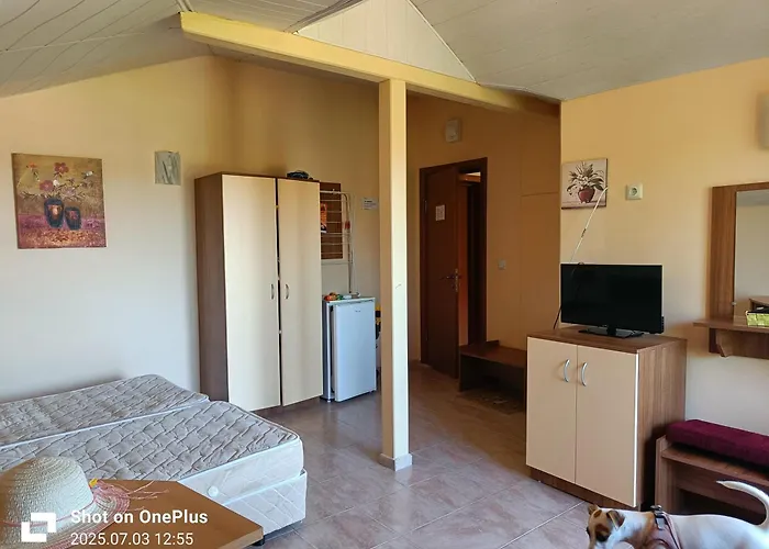 фернандес 招待所